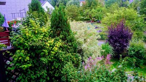 Un jardín con diversas plantas y árboles, un banco y un edificio con puerta roja.