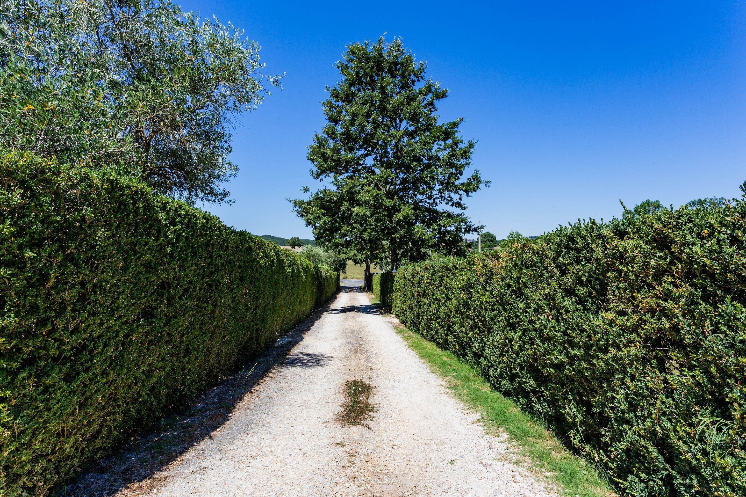 Elite Apartment, 2 Bedrooms | Reception