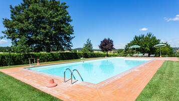 A rectangular swimming pool with a tiled deck, surrounded by grass and trees.