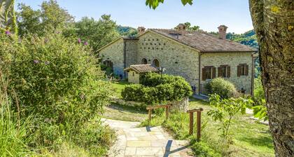 Beautiful Villa in Belforte All'isauro With Swimming Pool