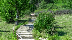 Steinelemente bilden eine Treppe, die einen grasbewachsenen Hügel hinaufführt, umgeben von üppiger Vegetation und einem kleinen Holzgeländer.