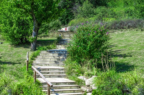 Appartement Classique, 3 chambres | Jardin