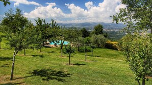 A grassy landscape with trees and a distant view of mountains. - Detached Villa for 6-pers. With Outdoor Swimming Pool (Loro Ciuffenna)