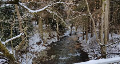 Adorable Aparment in Wildemann With Parking