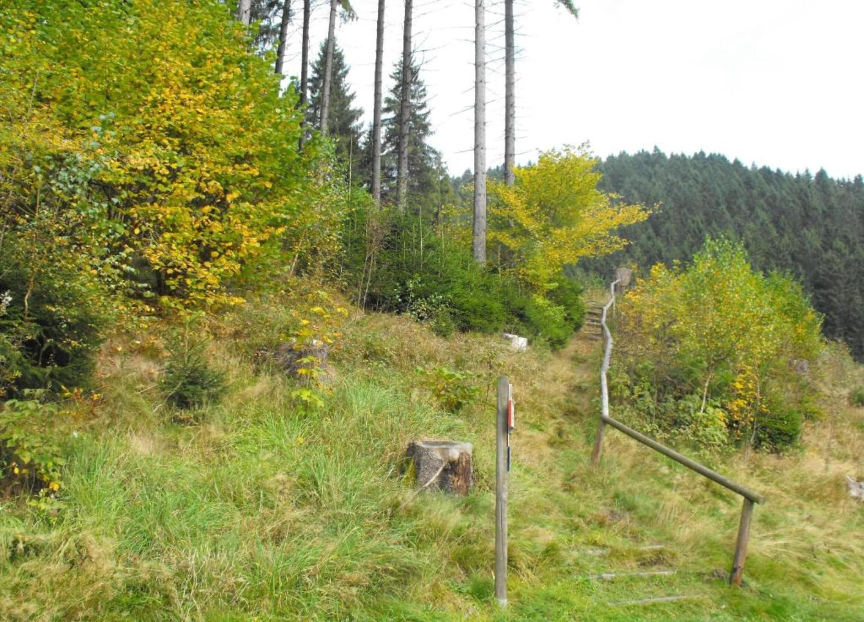 A natural landscape with a wooden trail marker, dense forest, and a clear sky.