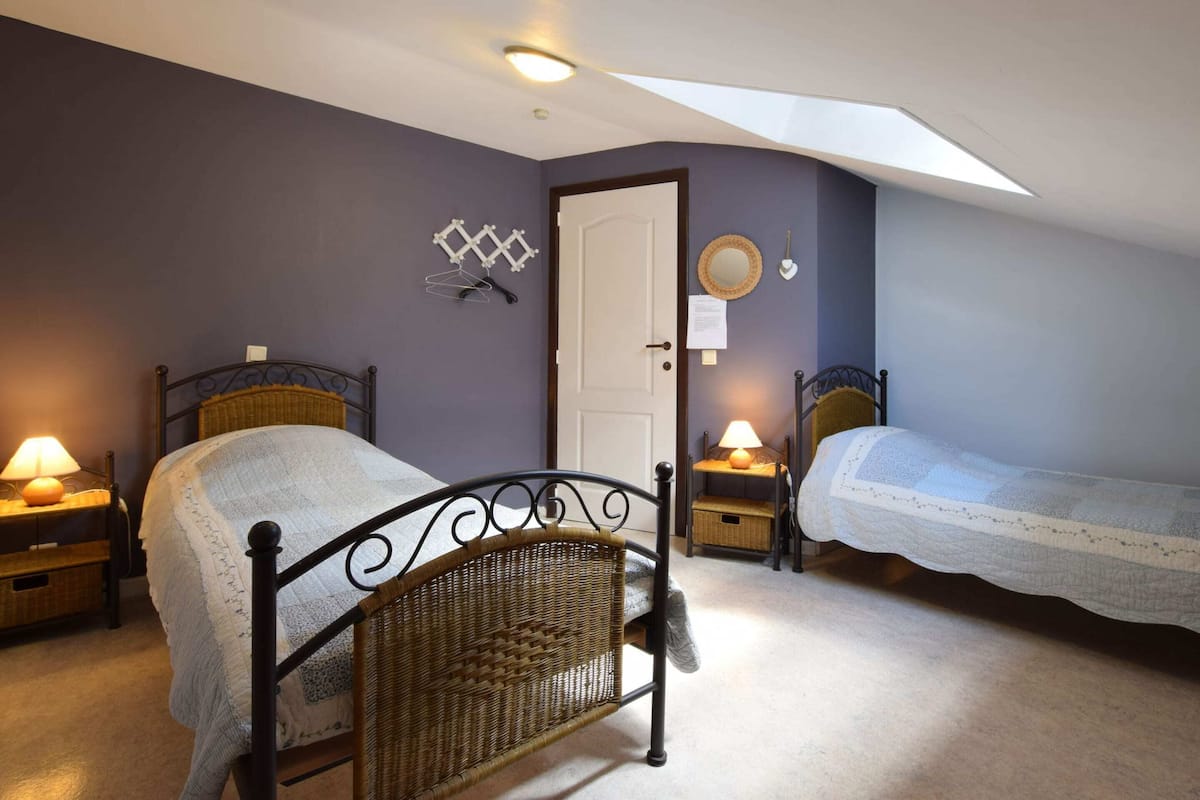 A bedroom with two single beds, a ceiling light, a door, and a wall-mounted mirror.
