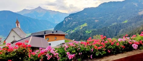 Classic House, 3 Bedrooms | View from property