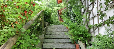 Comfort Apartment, 1 Bedroom | Garden