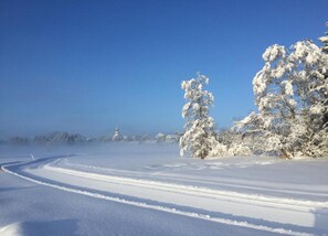 Deluxe Apartment, 1 Bedroom | View from property