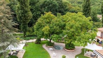 Pemandangan dari properti