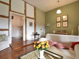 Chimenea, reproductor de DVD