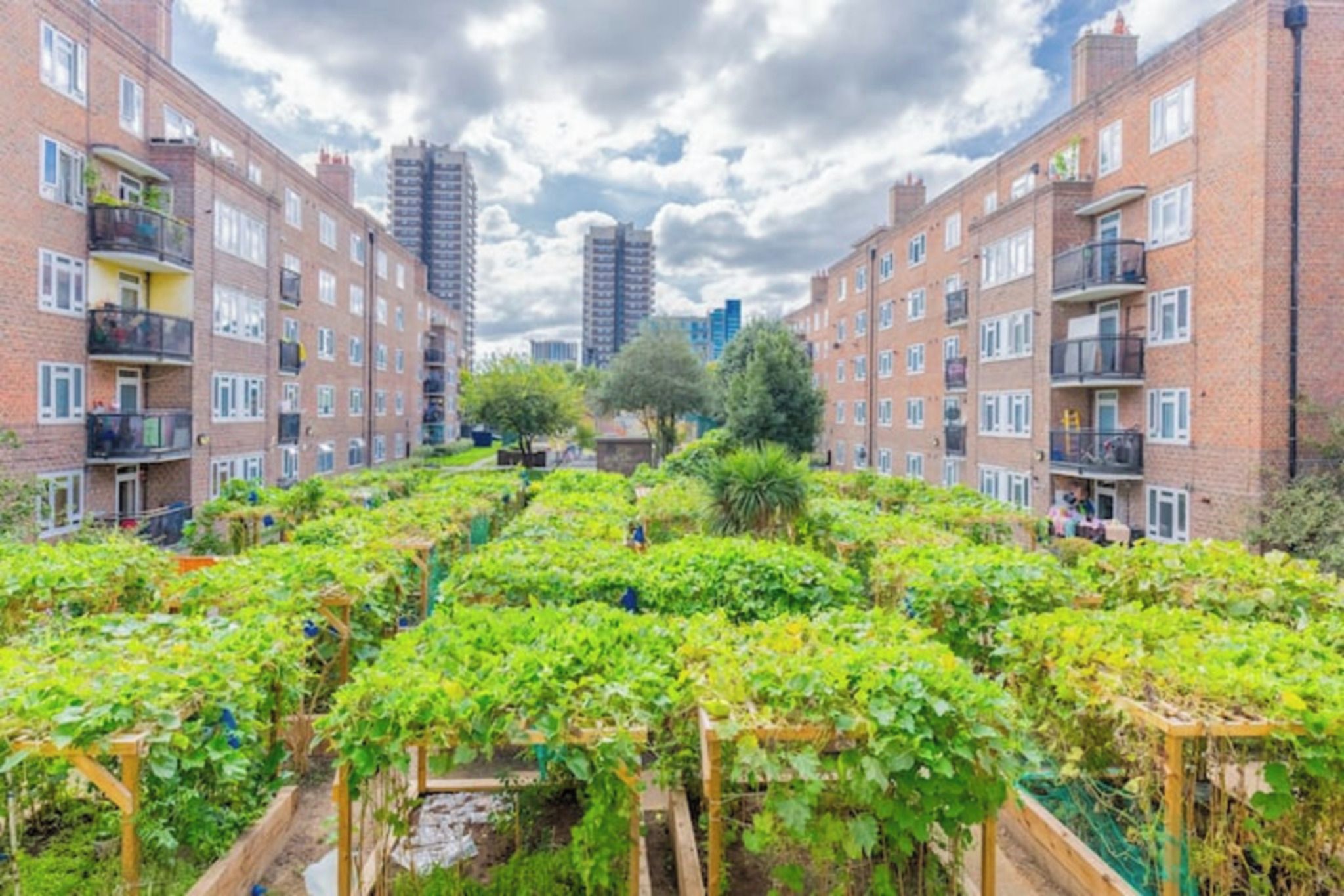 A residential area with brick apartment buildings, a garden with green plants, and a clear sky.