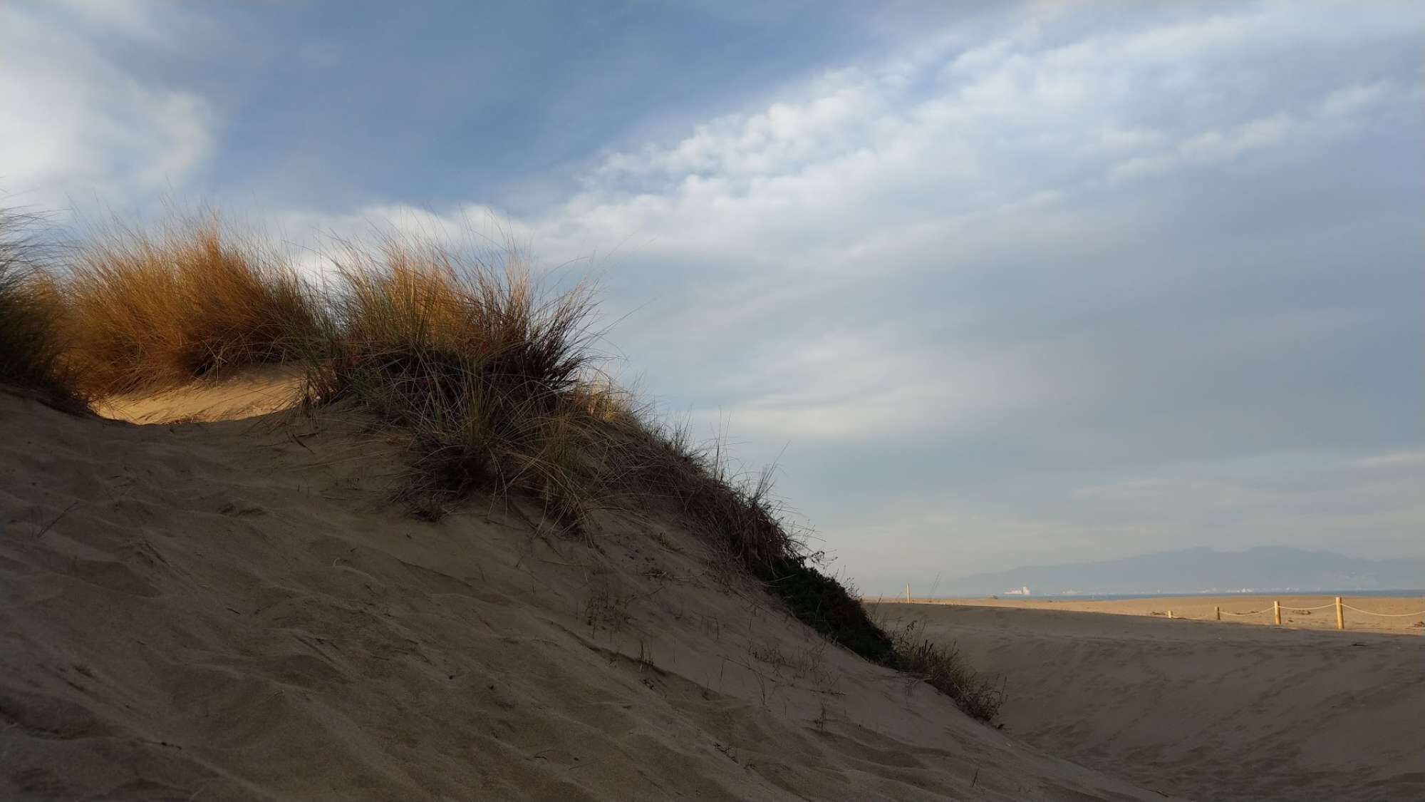 Un paysage de dunes de sable avec une végétation clairsemée et un ciel dégagé.