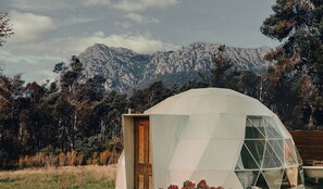 Free WiFi - Wilder Tasmania (Gowrie Park)