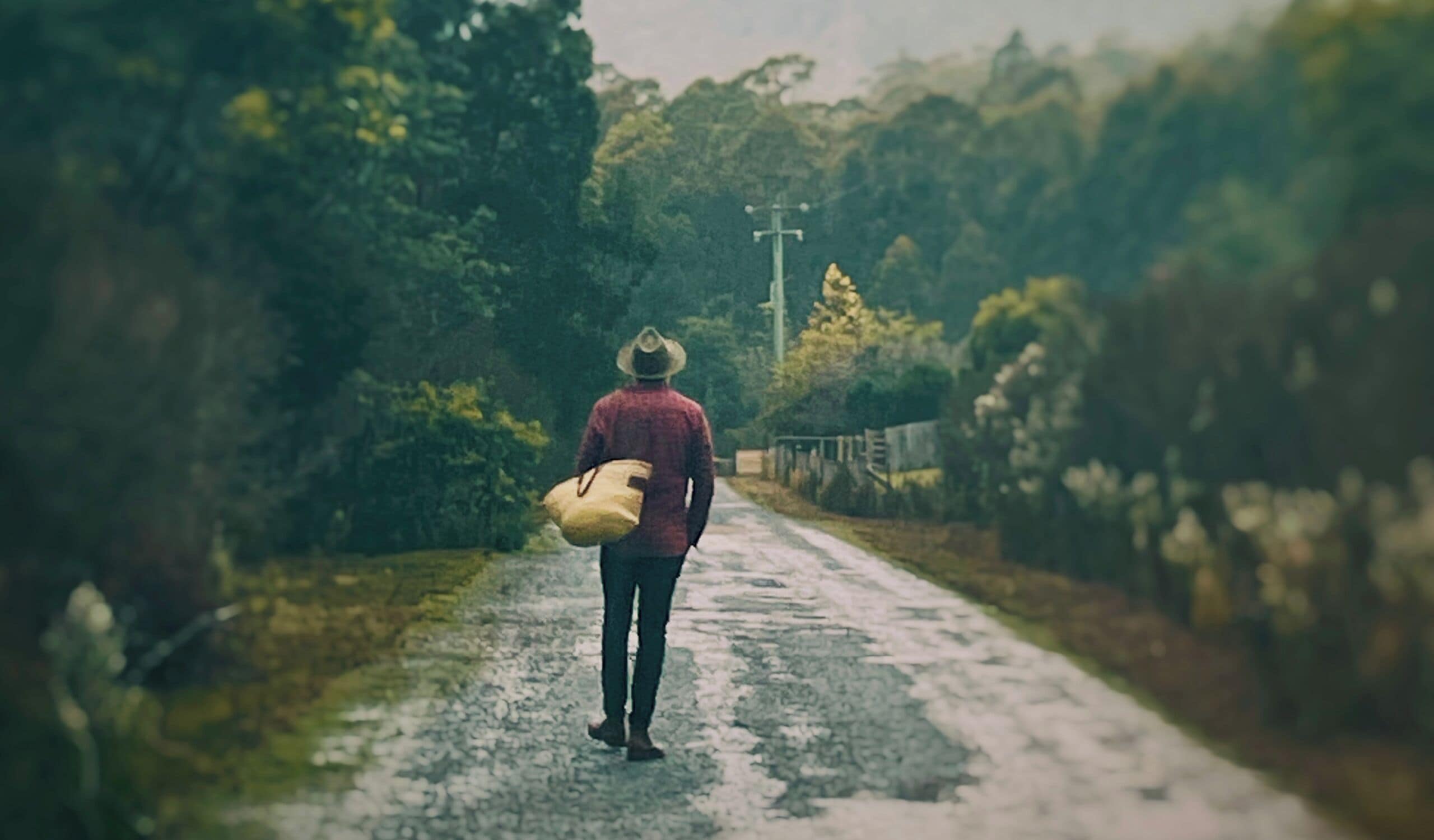A person walking down a rural road with trees on both sides.