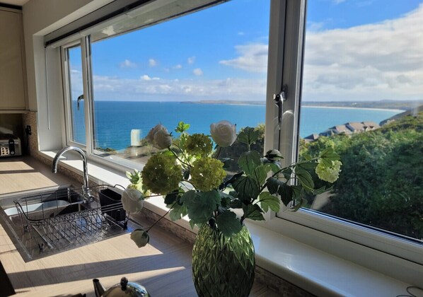Enjoy ocean views from the kitchen window, featuring a stainless steel sink and a potted plant.