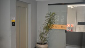 Zona de recepción de un hotel con una planta en maceta, un mostrador de recepción y un ascensor.