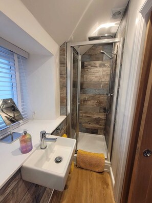 Shower, hair dryer, towels