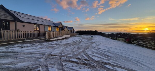 Property grounds - Dog Friendly 18th Century Cottage (Saundersfoot)