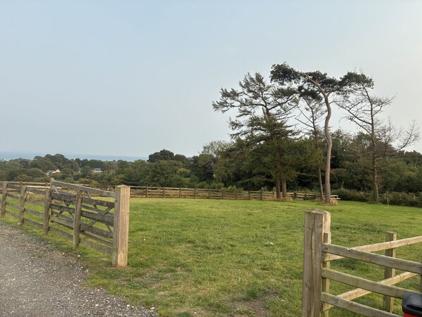 A grassy field with a wooden fence and trees in the background.