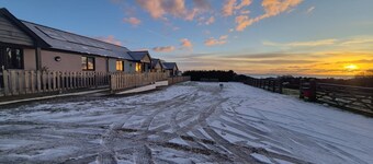 Pet Friendly Cottage with Sea Views