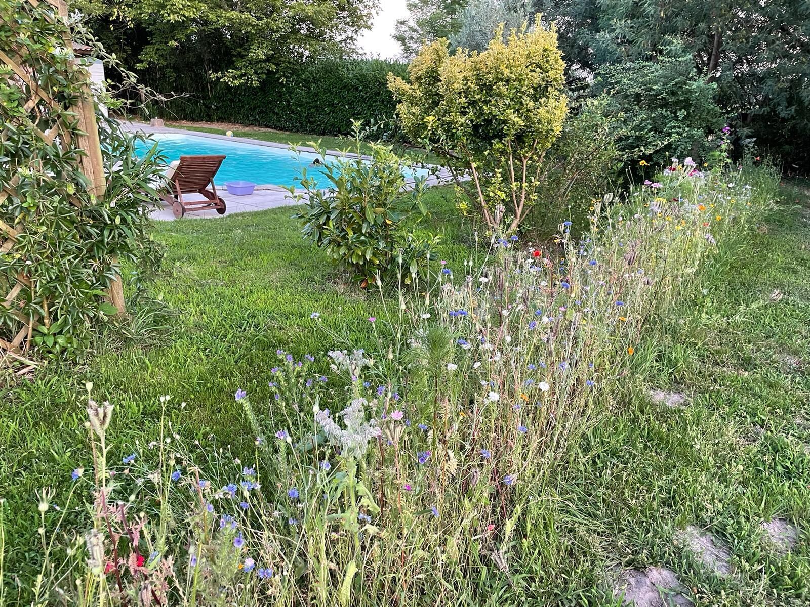 季節性室外泳池；泳池傘