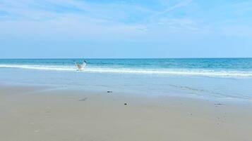 Aan het strand, ligstoelen aan het strand, strandlakens