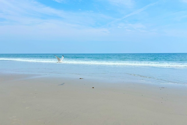 Plage, chaises longues, serviettes de plage
