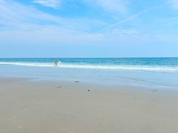 On the beach, sun-loungers, beach towels