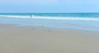 Seaside retreat for 8. Steps to beach, board walk. 3 car parking, deck.