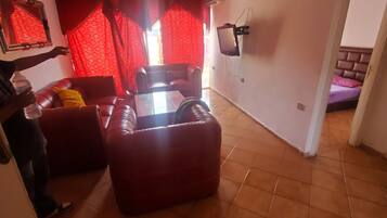 Télévision, cheminée, lecteur de DVD