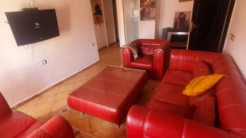 Télévision, cheminée, lecteur de DVD