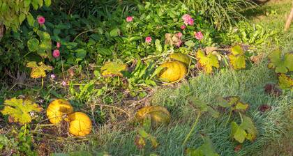 Maison de vacances 'Maison Avec Terrasse Et Jardin' avec terrasse privée, jardin privé et Wi-Fi