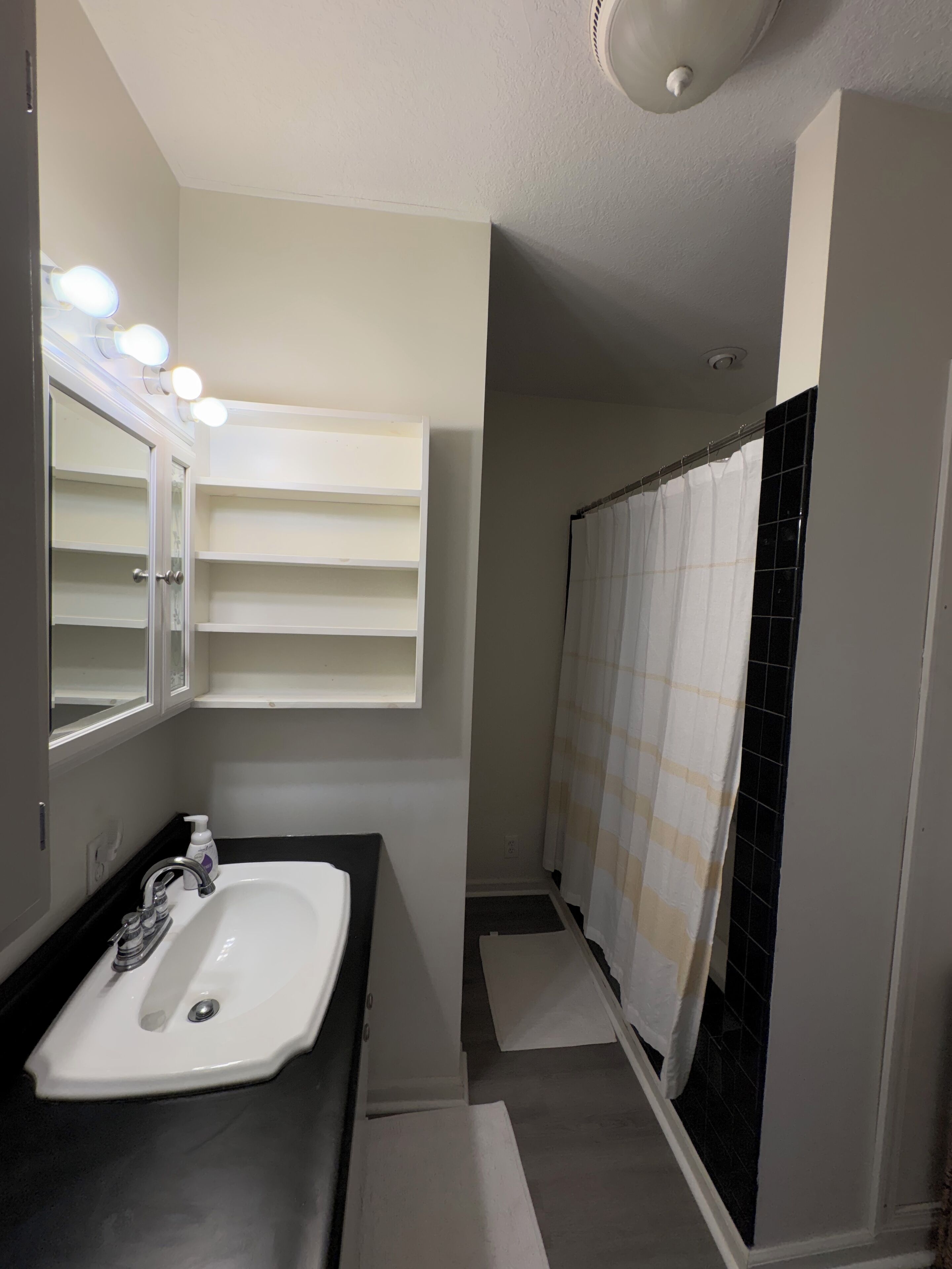 Shower, jetted tub, hair dryer, towels