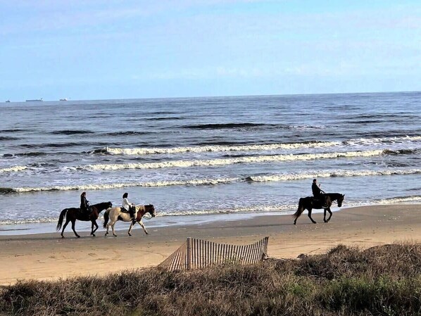 Am Strand