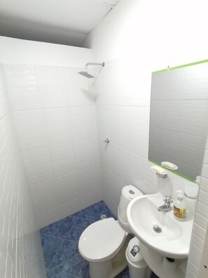 Regadera, toallas, jabón, shampoo 