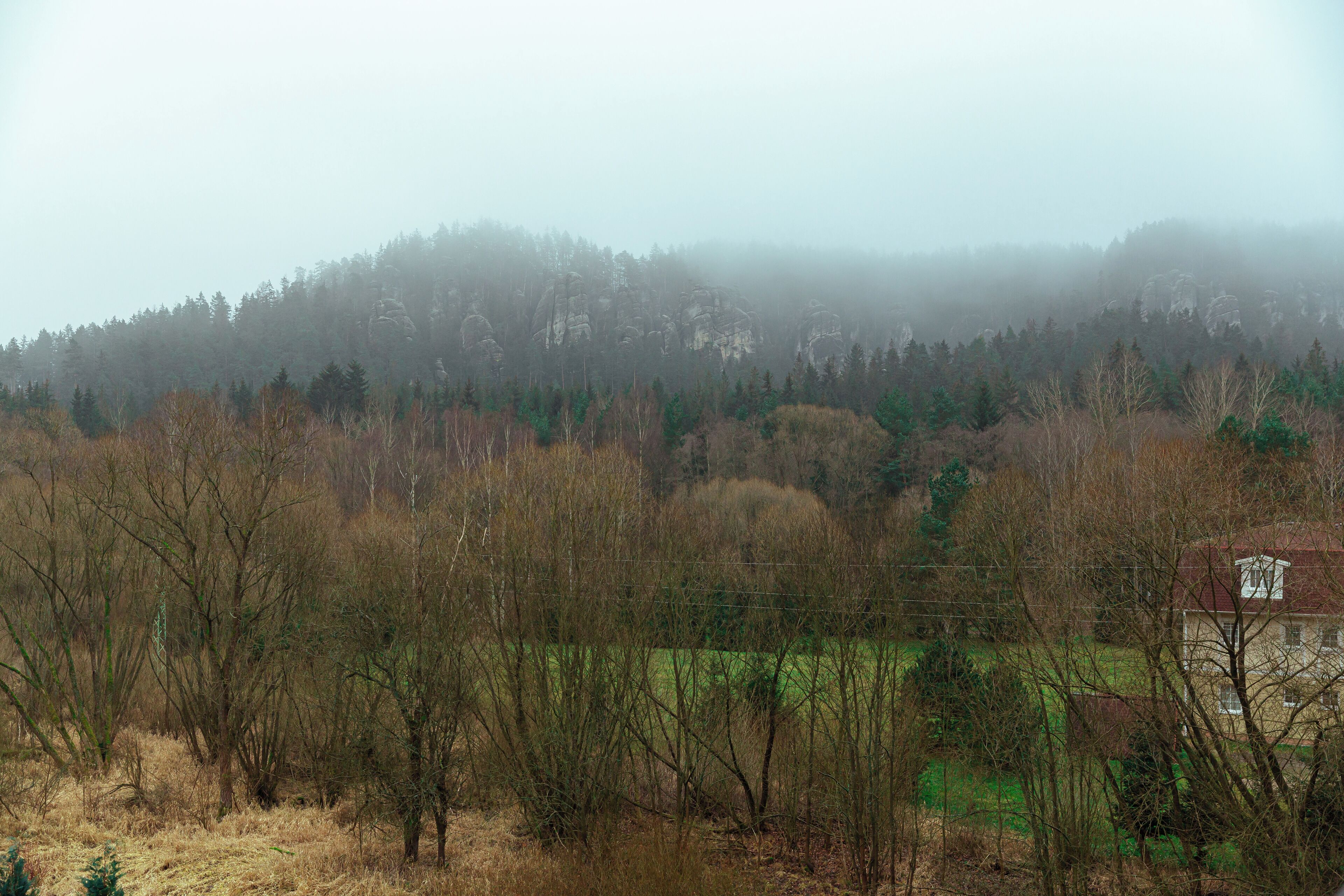 A rural landscape with a house surrounded by trees and a foggy background.