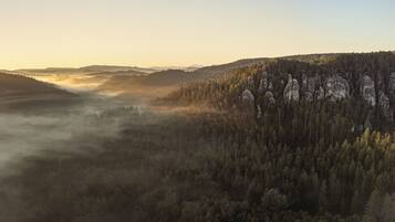 A forested landscape with a valley and mist.