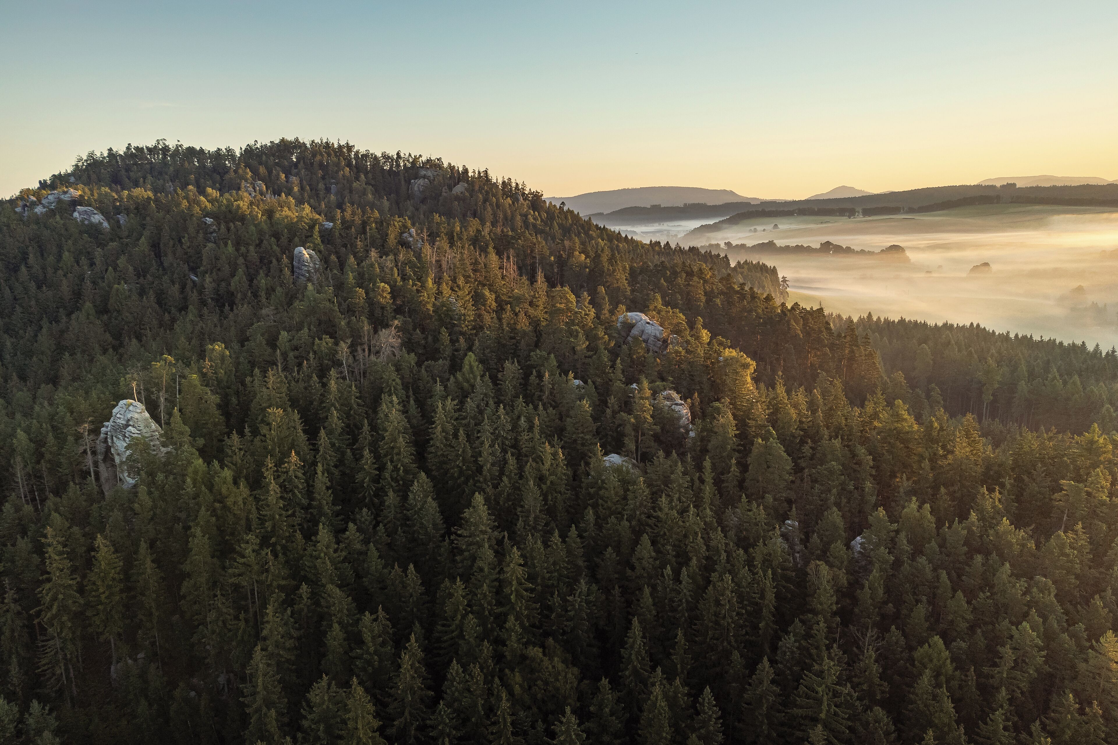 A forested mountain with a clear sky and distant hills.