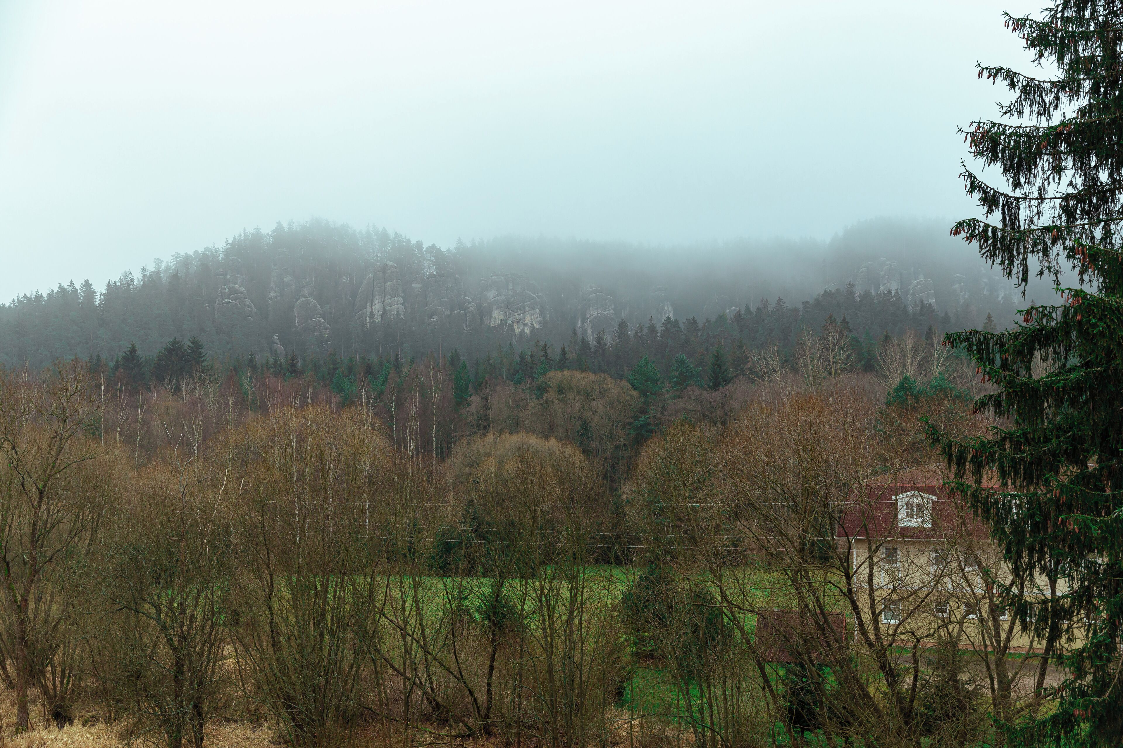 Un paisaje rural con una casa rodeada de árboles y un fondo brumoso.