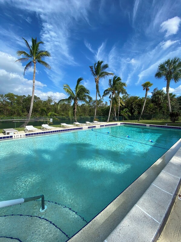 A rectangular swimming pool with clear blue water, surrounded by palm trees and a fence.