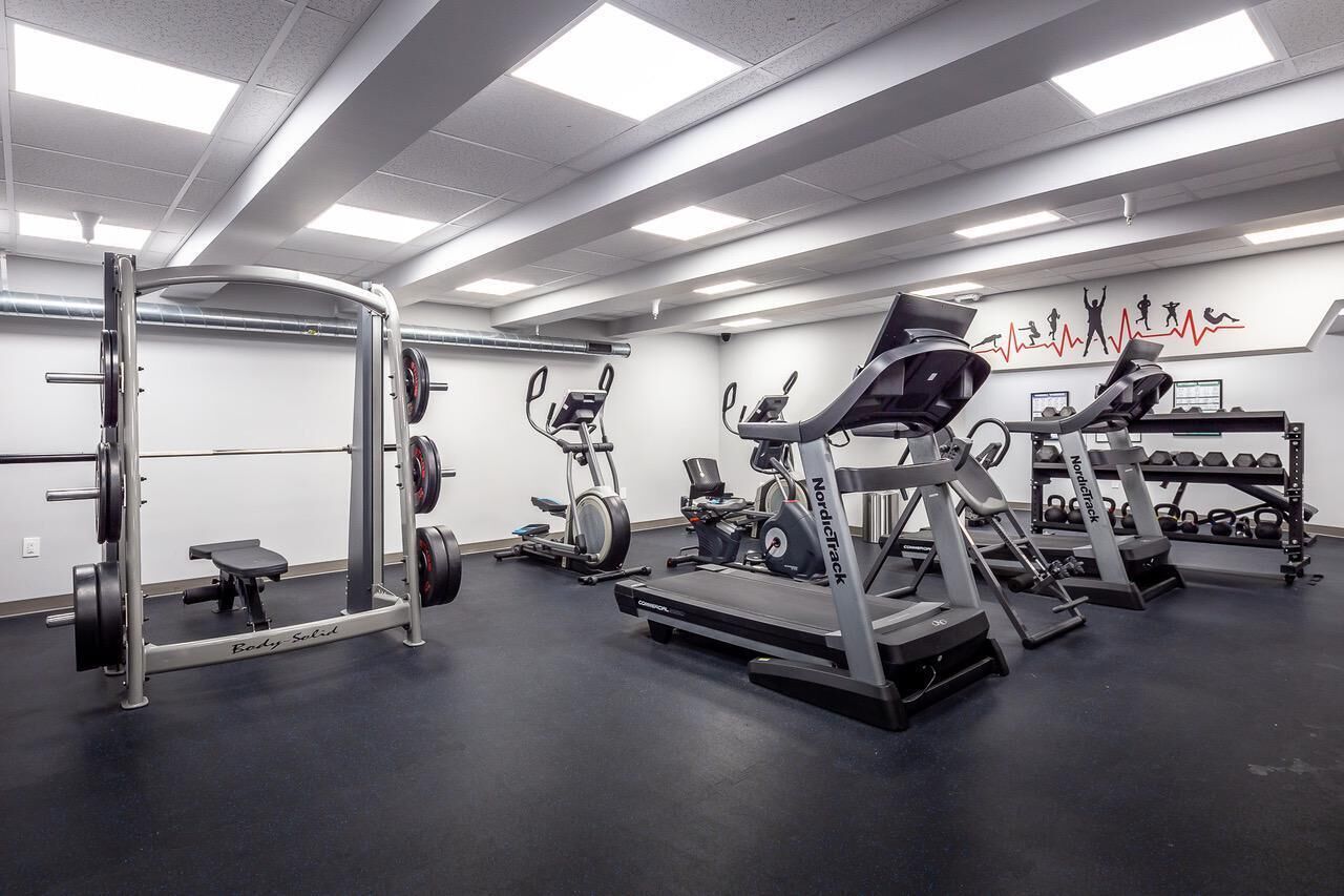 A gym with treadmills, a weight bench, and a squat rack.