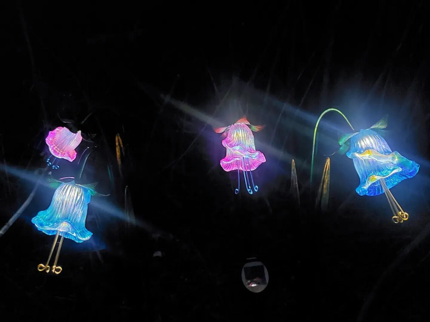 Tres decoraciones de medusas iluminadas en un ambiente oscuro.