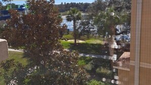 Une vue depuis une fenêtre donnant sur un espace aménagé avec des arbres et une étendue d’eau.