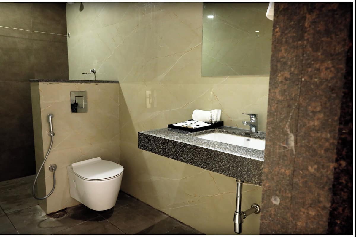 Bathroom features a toilet, sink with granite countertop, and shower area with handheld showerhead.