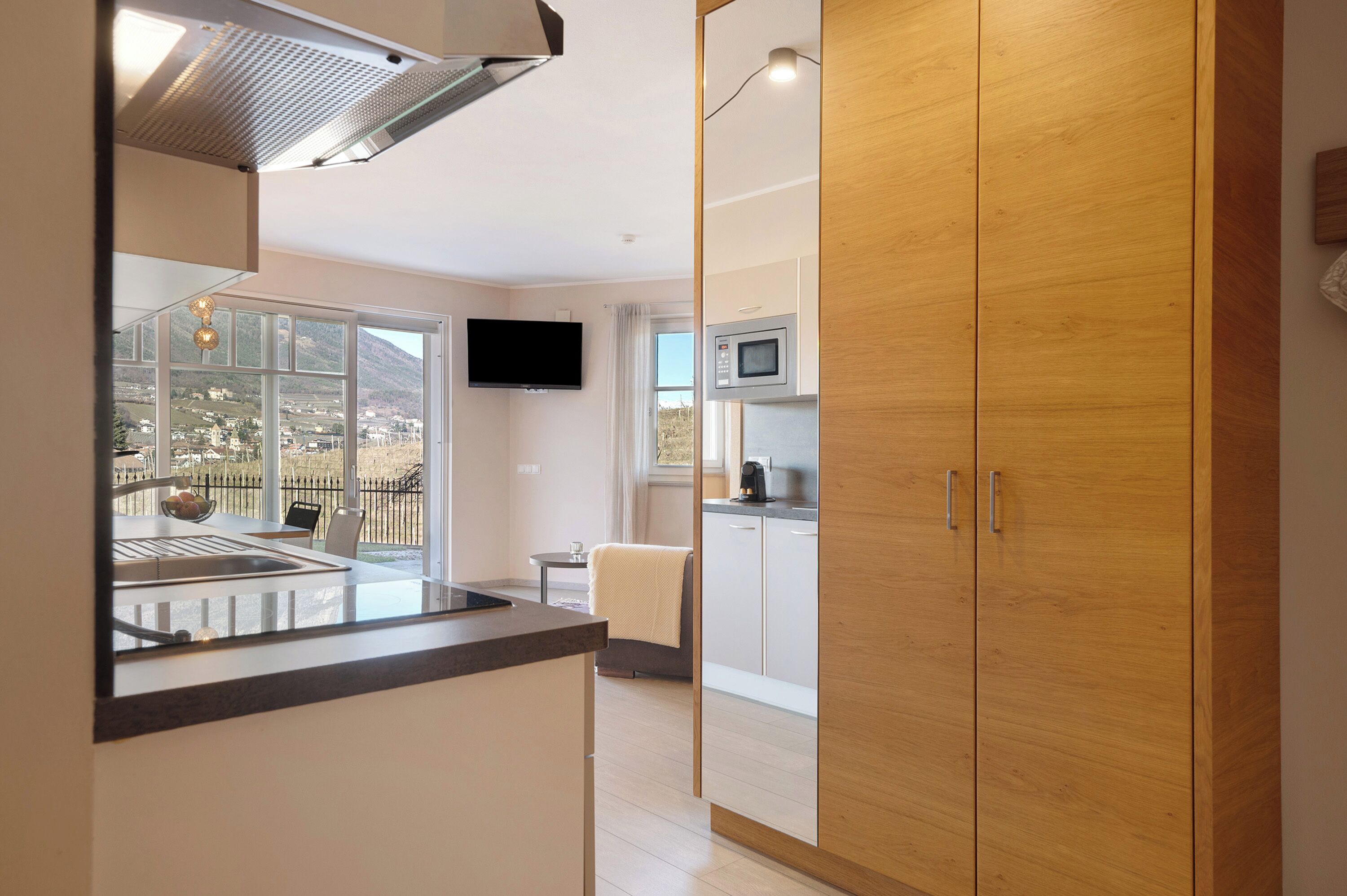 Kühlschrank, Mikrowelle, Herdplatte, Geschirrspüler