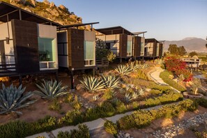 Enjoy expansive views of the surrounding landscape from large windows in our contemporary cabins, surrounded by a well-maintained garden with a winding pathway.