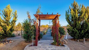 A stone pathway leading to a wooden pergola with climbing plants. - Vinyard Cabin - Luna del Valle (Valle de Guadalupe)