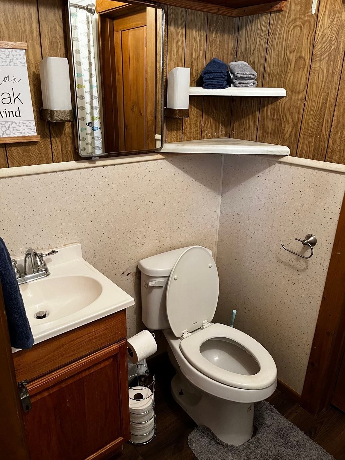 Toallas y papel de baño 