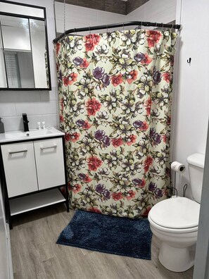 Douche, serviettes fournies, savon, shampoing